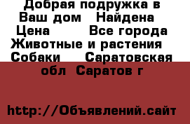 Добрая подружка,в Ваш дом!!!Найдена › Цена ­ 10 - Все города Животные и растения » Собаки   . Саратовская обл.,Саратов г.